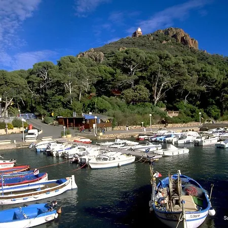 公寓 3 Pieces A 200m Des Plages, St-raphael